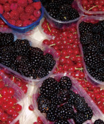 Wild berries Wild berries