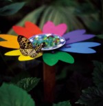 Casa delle Farfalle, Bordano Butterfly at Casa delle Farfalle, Bordano