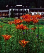 Sauris di Sopra Sauris di Sopra